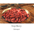 certified organic frozen goji berry